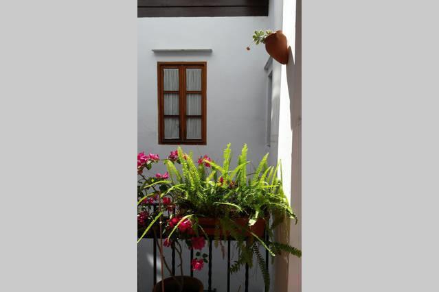 Plaza San Marcos Appartement *