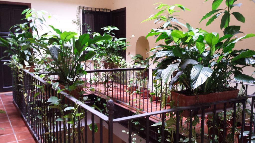 Appartement Plaza San Marcos *